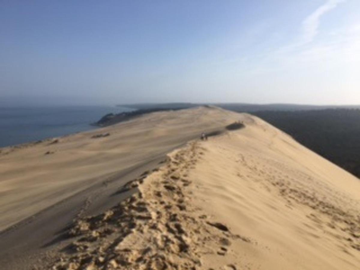 Appartement T2 En Front De Mer A Arcachon, Acces Direct Plage, Parking, Animaux Admis - Fr-1-374-201 Εξωτερικό φωτογραφία